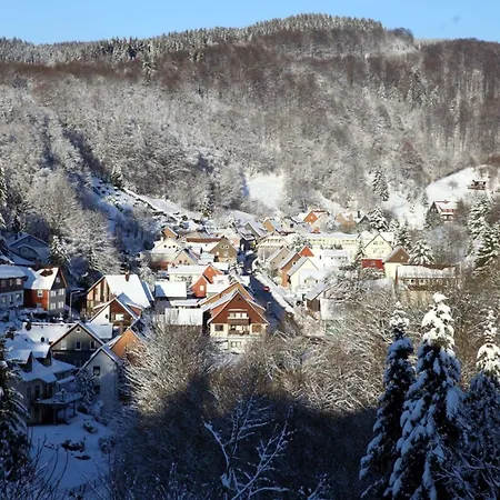 Apartmán Gemuetliche In *
